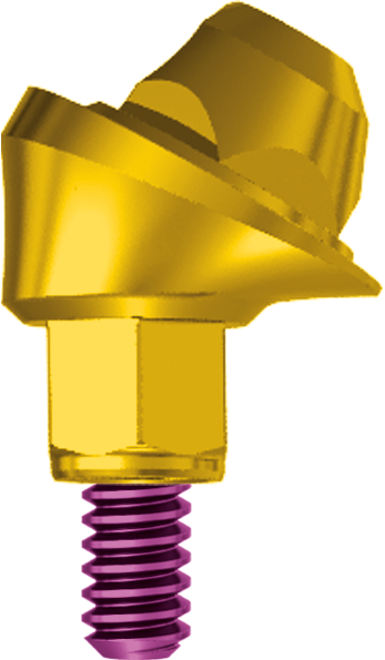 Conical Abutment Tissue Angulated 30° H 2.5 JDEvolution S