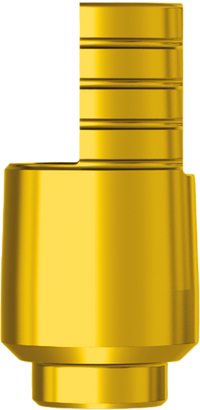 Tibase Interface Non Engaging H 6.0 for Angulated Channel JDEvolution Plus