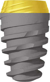 JDEvolution Plus Anodized Collar Ø 6.0 L 10