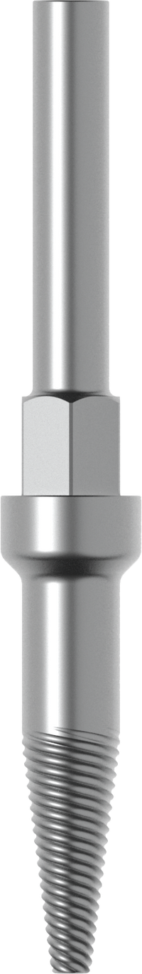 Implant removal tool