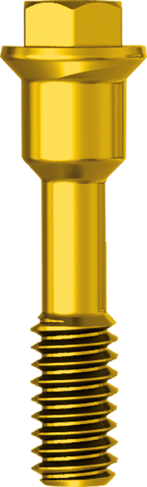 Screw for Conical Abutment Straight Engaging H 3.0 JDEvolution Plus