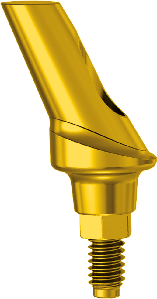 Anatomic Abutment Angulated 25° H 1.5 JDIcon Plus