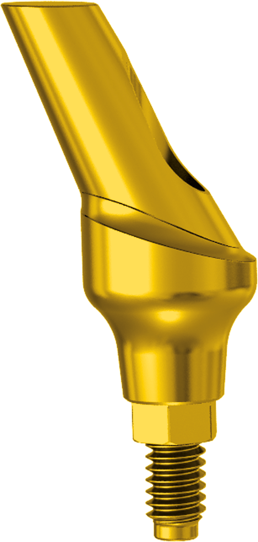 Anatomic Abutment Angulated 25° H 3.0 JDIcon Plus