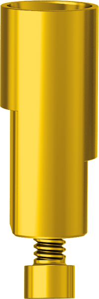 Implant Replica CAD CAM JDIcon Plus