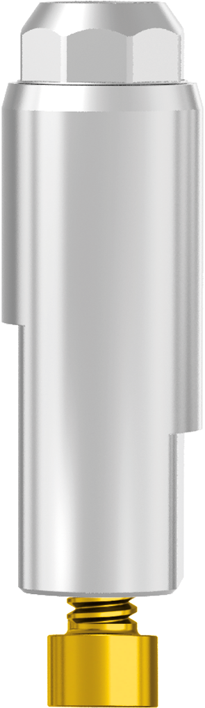 Octa Abutment Replica CAD CAM JDIcon Plus