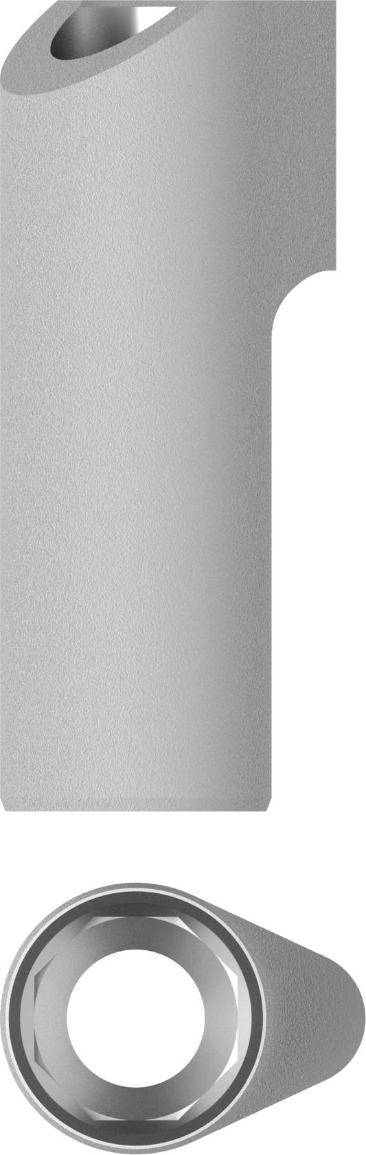 ScanBody Engaging Octa Abutment JDIcon Plus
