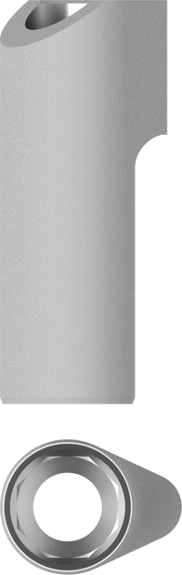 ScanBody Engaging Octa Abutment JDIcon Plus