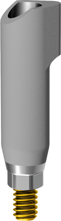 ScanBody Engaging JDIcon Plus