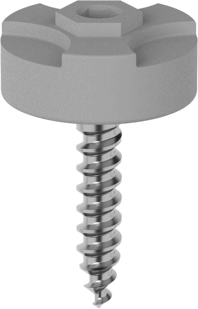 ScanBody Full Arch Tracer Hexagonal