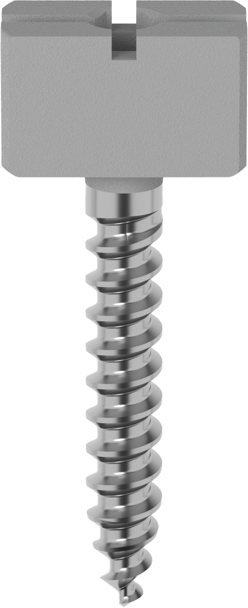 ScanBody Rectangular Full Arch Tracer