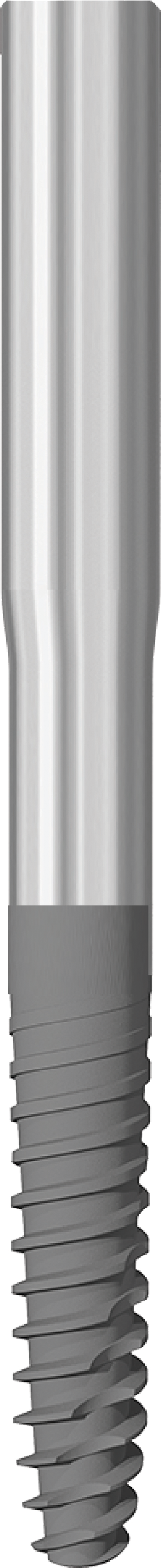 JDZygoma Ø 3.9 L 42.5