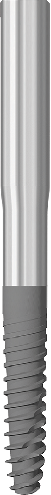 JDZygoma Ø 3.9 L 42.5