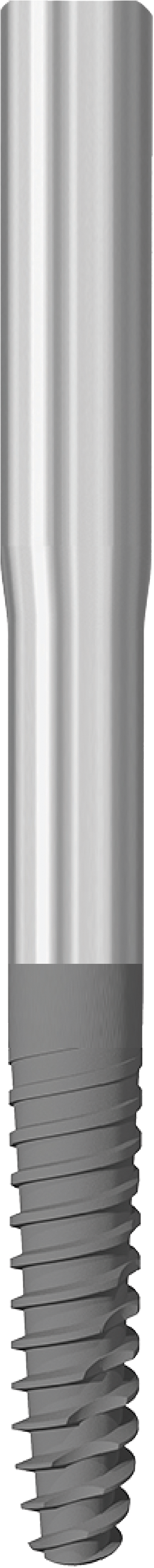 JDZygoma Ø 3.9 L 45