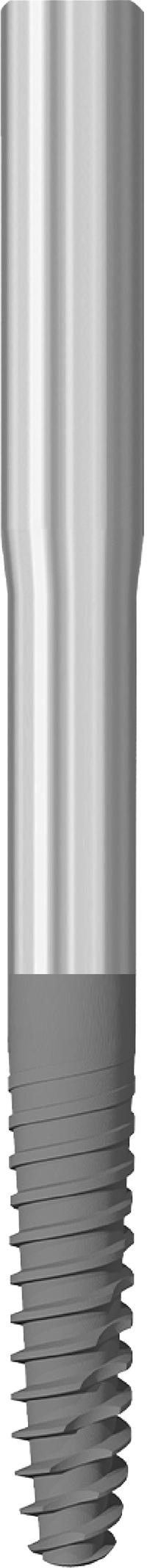 JDZygoma Ø 3.9 L 47.5