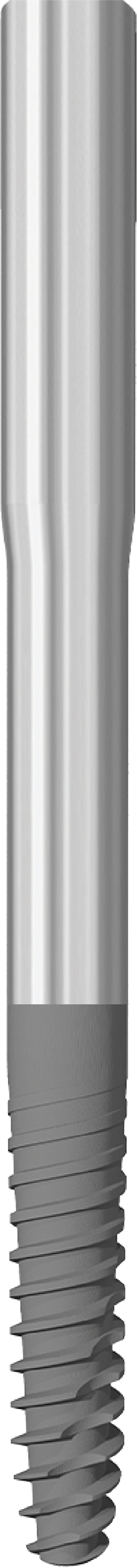 JDZygoma Ø 3.9 L 50