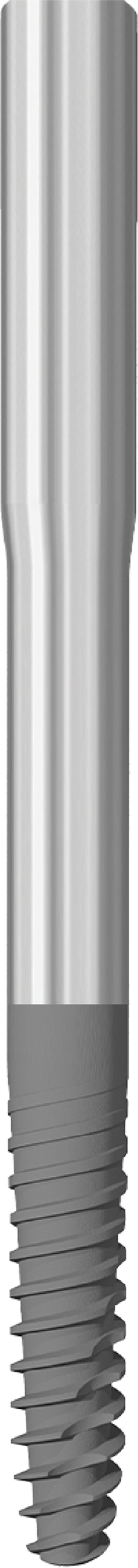 JDZygoma Ø 3.9 L 50