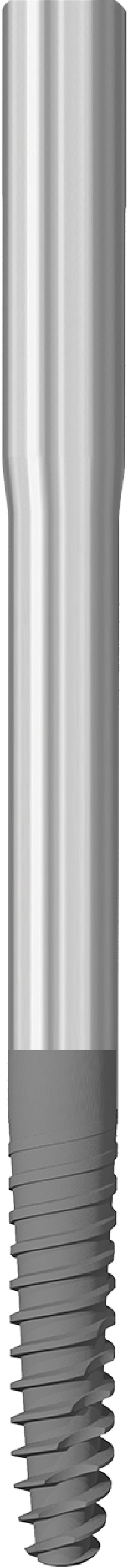JDZygoma Ø 3.9 L 55