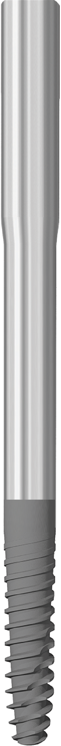 JDZygoma Ø 3.9 L 55