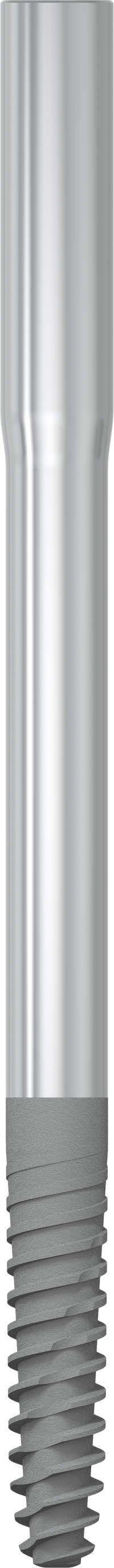 JDZygoma Ø 3.9 L 60