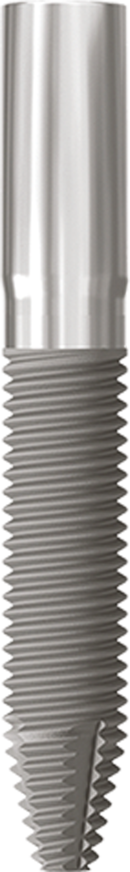 JDZygoma Ø 4.3 L 30