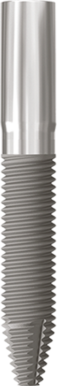 JDZygoma Ø 4.3 L 30