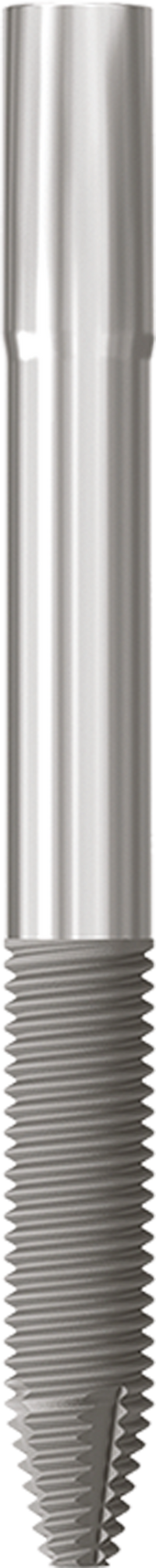 JDZygoma Ø 4.3 L 45