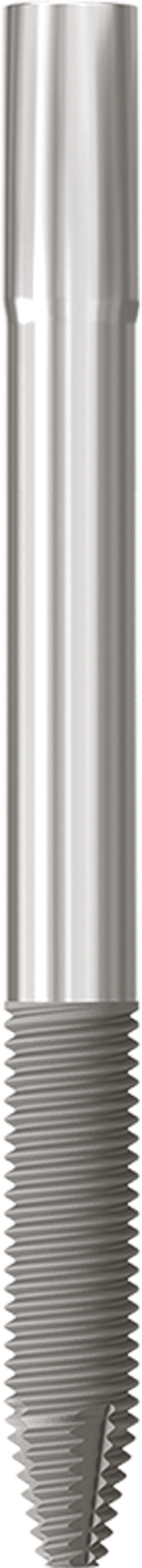 JDZygoma Ø 4.3 L 50