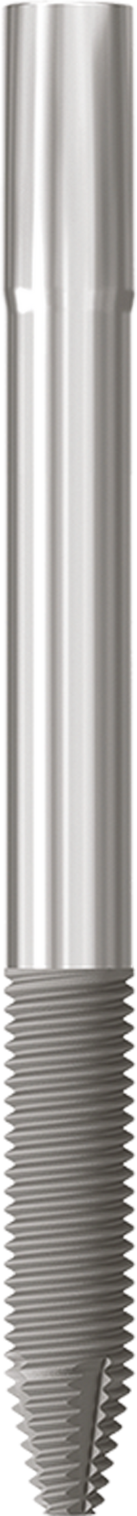 JDZygoma Ø 4.3 L 50