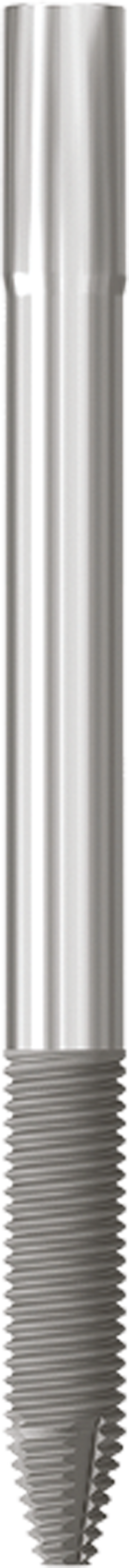 JDZygoma Ø 4.3 L 55