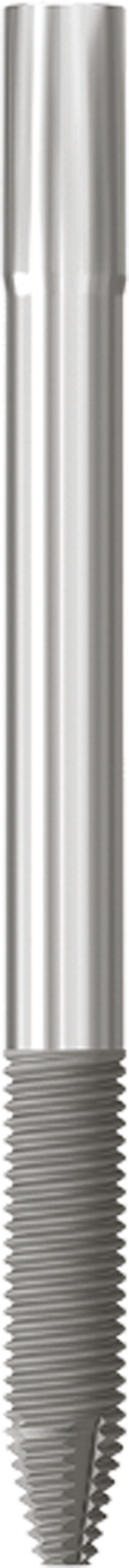 JDZygoma Ø 4.3 L 55