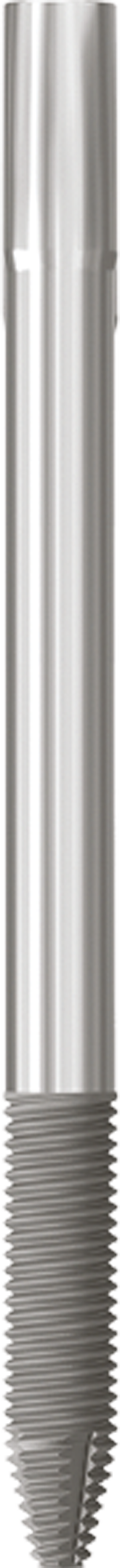 JDZygoma Ø 4.3 L 60